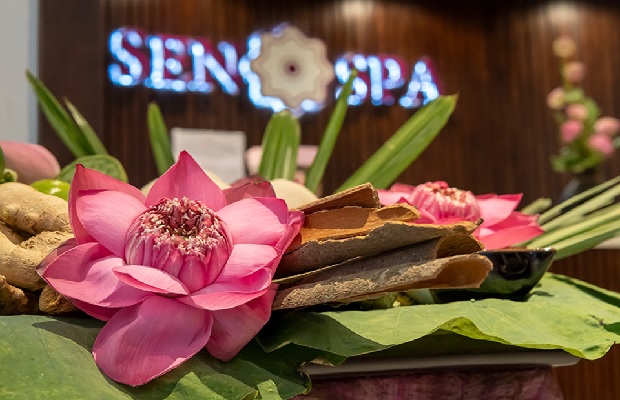 massage quận 2 - sen spa